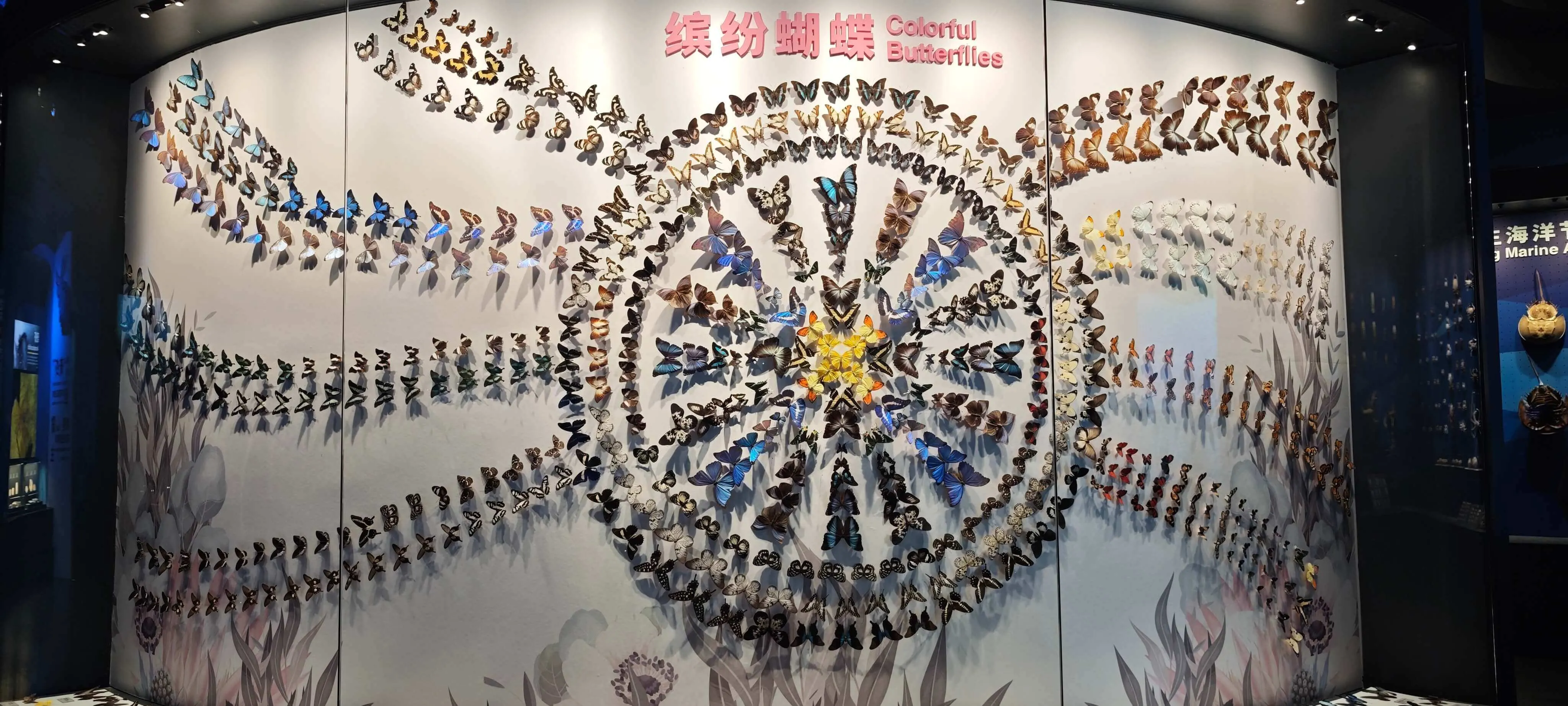 Tink Life | 灵感设计 展示 7