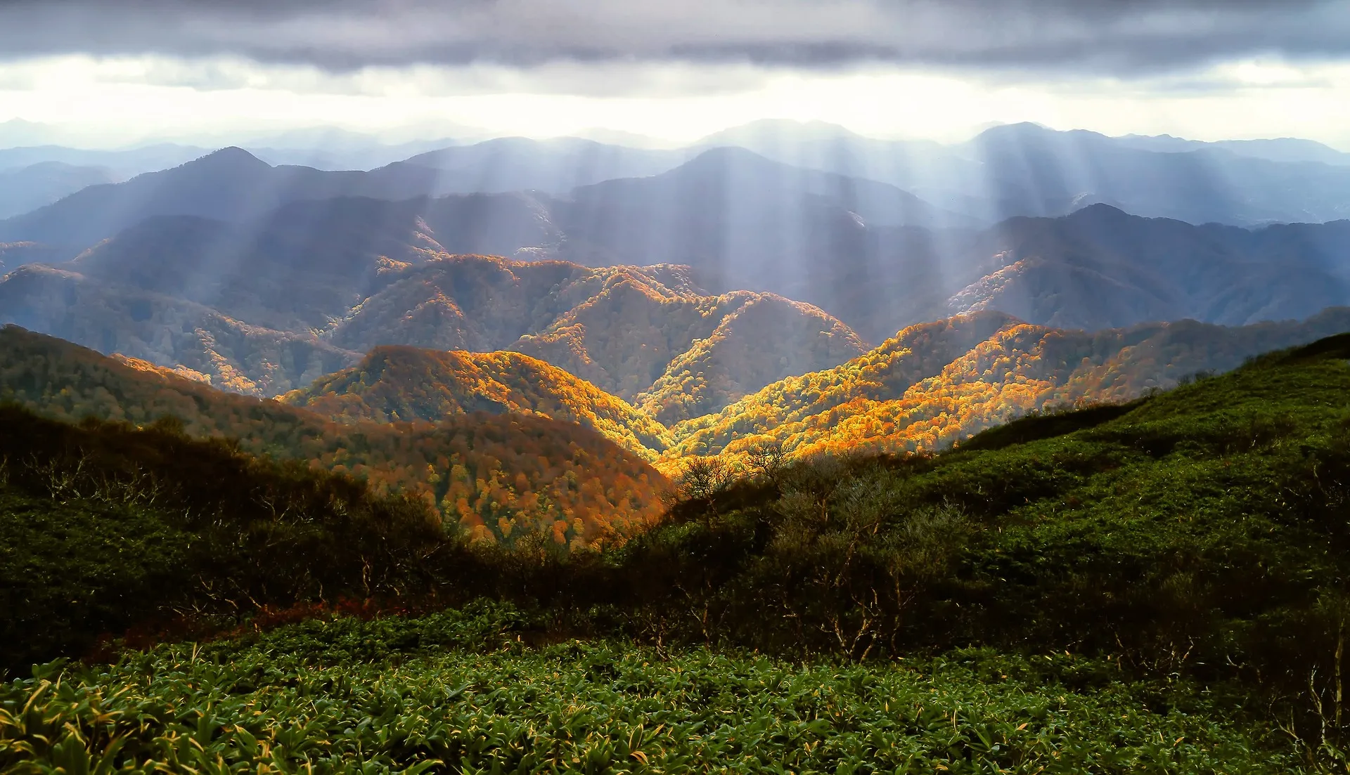 Pixabay - 免费图库 展示 6